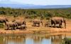 13033-day_tanzania_wildlife_and_migration_safari2