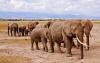 14_days_-_kenya_wildlife_adventure_safari3