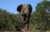 4_days_-_kenya_wildlife_joining_safari4