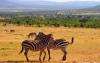 6-days_kenya_joining_wildife_safaris3
