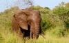 9-days_kenya_masai_mara_wildlife_safaris