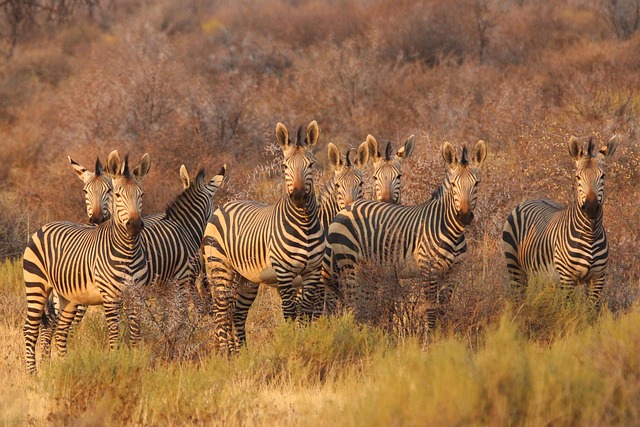 7 Days Kenya Group Safari Tour