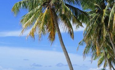 10 Days Kenya Safari & Beach Holiday 2025/2026/2027
