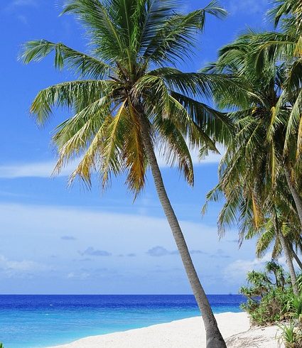 10 Days Kenya Safari & Beach Holiday 2025/2026/2027