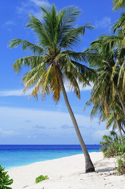 10 Days Kenya Safari & Beach Holiday 2025/2026/2027