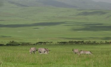 3 Days Amboseli Luxury Safari Tour