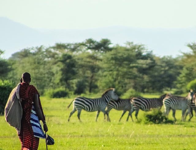4-Day Great Migration Safari in Kenya
