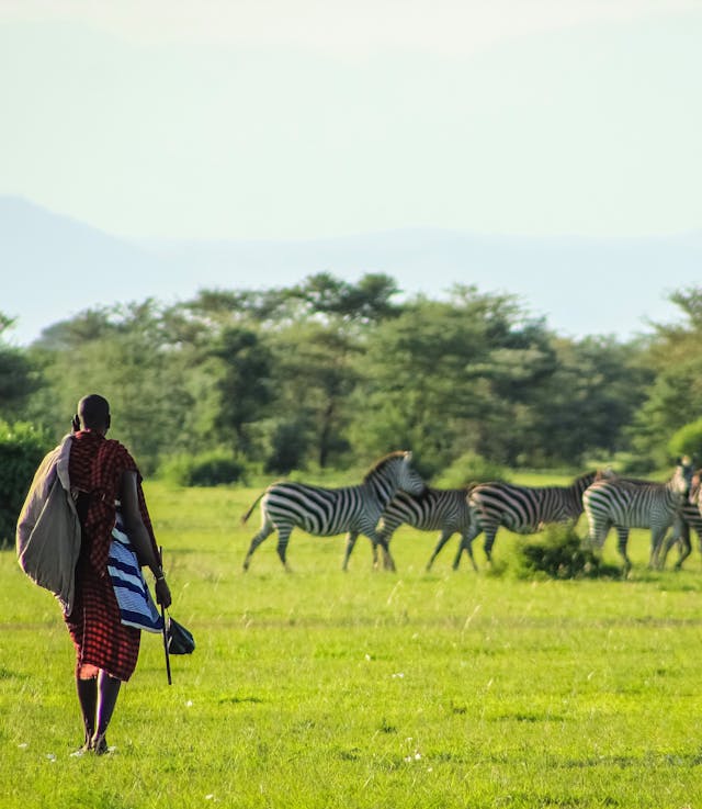 4-Day Great Migration Safari in Kenya