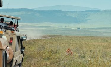 4 Days Masai Mara Fly-In Safari Tour