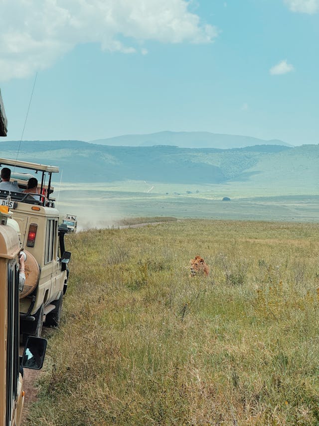 4 Days Masai Mara Fly-In Safari Tour