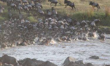 4 Days Masai Mara Tour