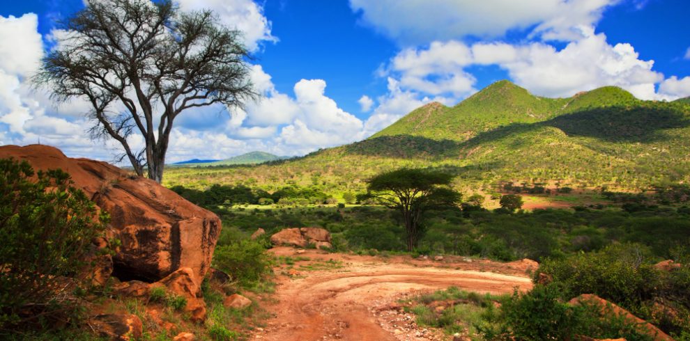 4 Days Samburu & Lewa Safari Tour