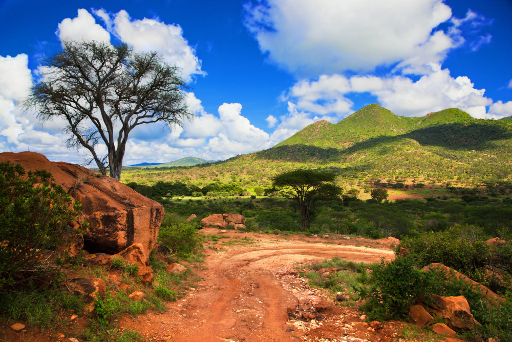 4 Days Samburu & Lewa Safari Tour