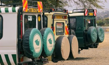 5-Day Masai Mara Great Migration Tour