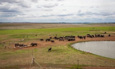 5 Days Kenya Family Mid-range Tour