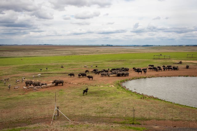 5 Days Kenya Family Mid-range Tour