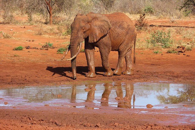 6 Day Kenya Big Five Tour