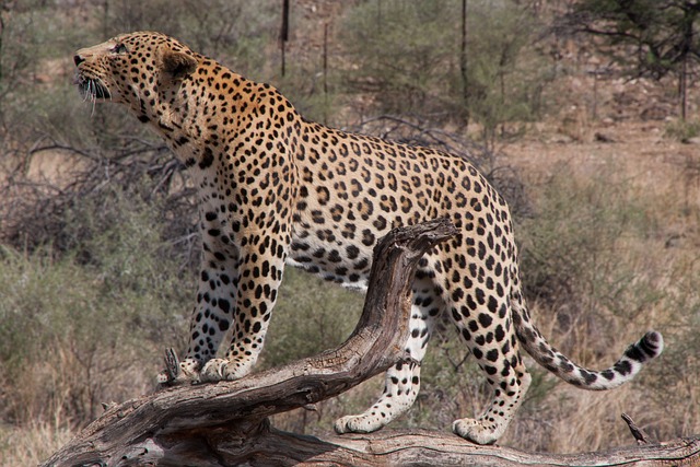 6 Days Kenya Safari Tour