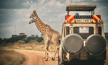7 Day Kenya Family Safari Tour