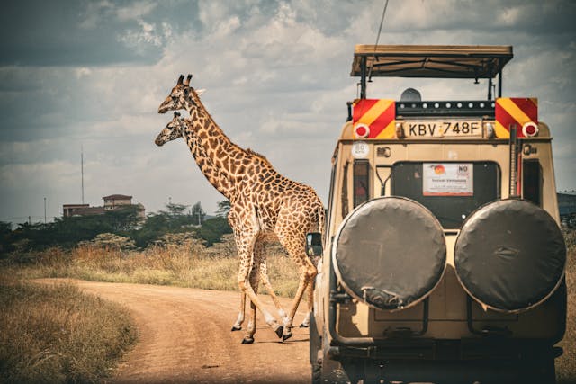 7 Day Kenya Family Safari Tour