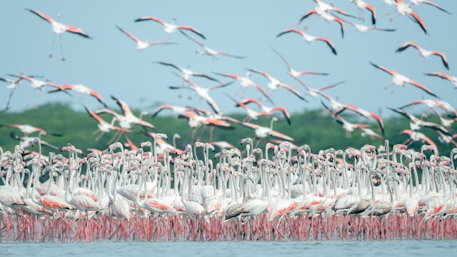 7 Days Big Five Safari in Kenya