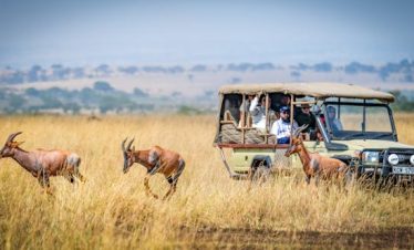 8 Days Kenya Fly-In Safari Tour