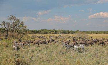 8 Days Kenya Group Tour