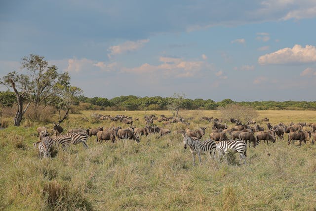 8 Days Kenya Group Tour