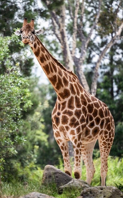 About Paradise Africa Safari – East Africa Tour Experts