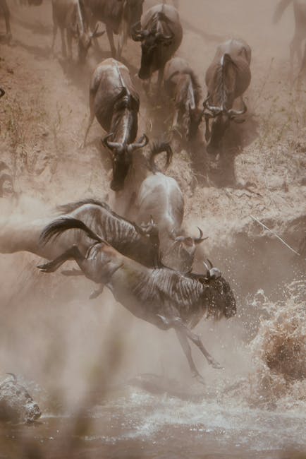 Best Time to Visit Kenya Safari Tour