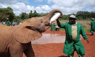 Guided Nairobi City Tours 2025-2027
