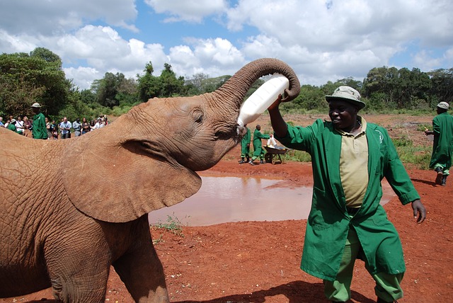 Guided Nairobi City Tours 2025-2027