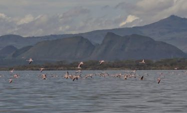 Kenya Tour Packages