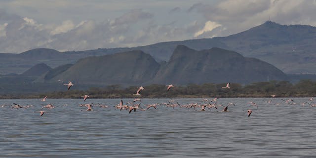 Kenya Tour Packages