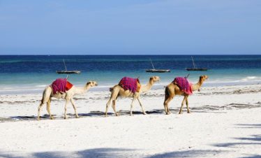 Mombasa Tour Activities