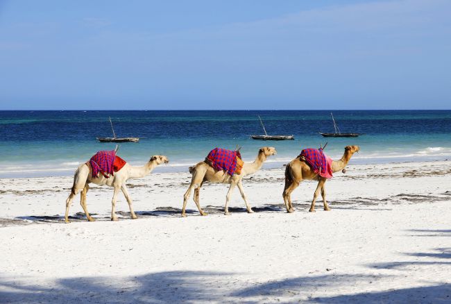 Mombasa Tour Activities
