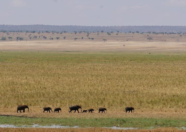 Ngorongoro Crater