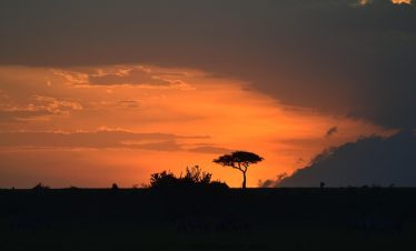 Night Game Drive in Masai Mara Kenya