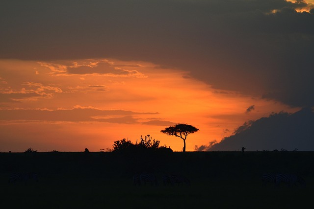 Night Game Drive in Masai Mara Kenya