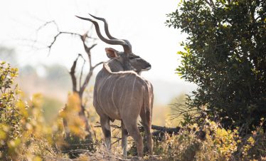Samburu tour