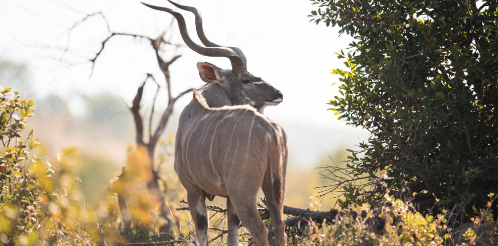 Samburu tour