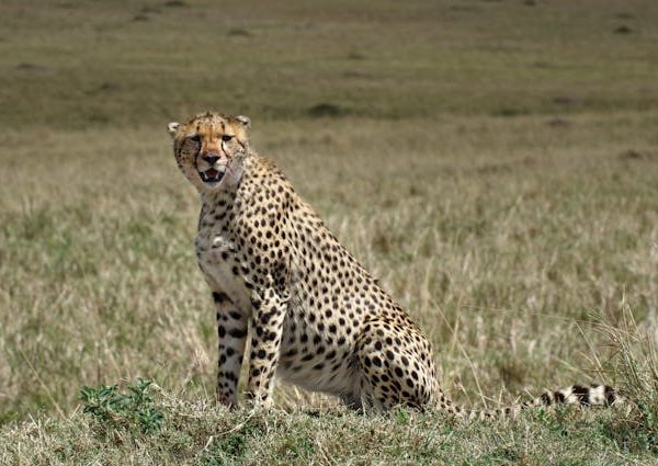 Serengeti National Park
