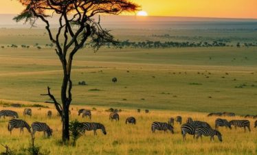 Top 10 Kenya All‑Inclusive Safari Tours