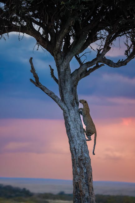 Top 10 Kenya Safari Tour Packages