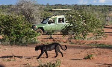 Maasai cultural experience in Masai Mara Kenya on a luxury safari tour 2026