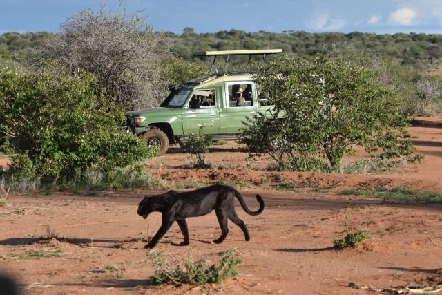 Maasai cultural experience in Masai Mara Kenya on a luxury safari tour 2026