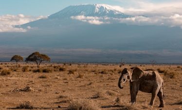 13 Days Kenya Tanzania Big Five Group Safari Tour