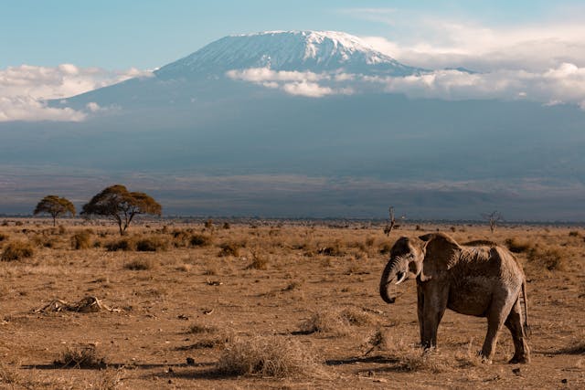 13 Days Kenya Tanzania Big Five Group Safari Tour