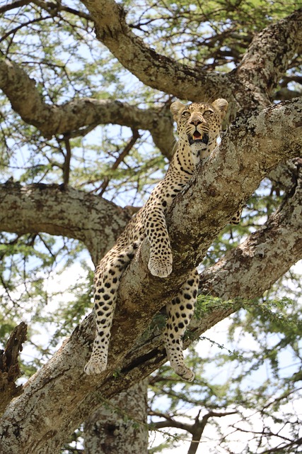 14 Days Kenya Tanzania Budget Group Tour