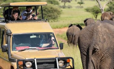 9 Days Kenya Tanzania Group Budget Safari Tour